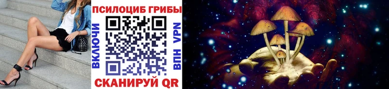 купить цена Курск Галлюциногенные грибы Magic Shrooms