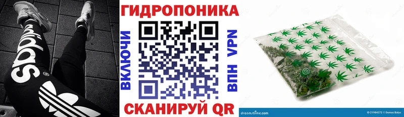 где найти   Курск  Бошки марихуана VHQ 